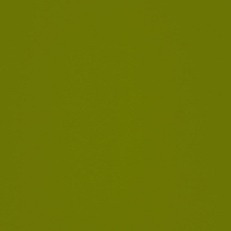 Кромка 1х22мм Олива Зеленая  high gloss(глянец) 2 группа AGT